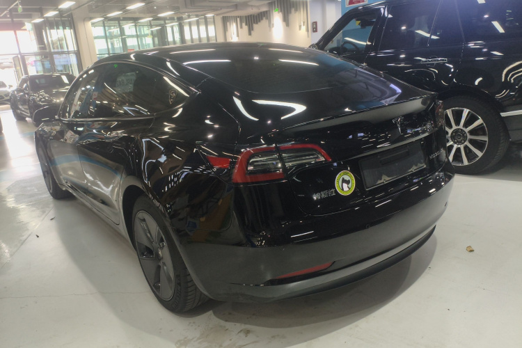 Tesla Model 3 2021 #5 Tesla Model 3 2021 car image #5