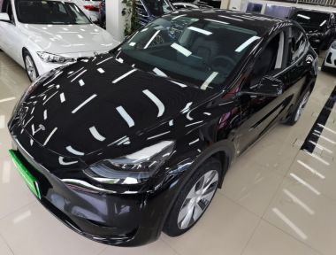Tesla Model Y 2022 Tesla Model Y 2022 car image