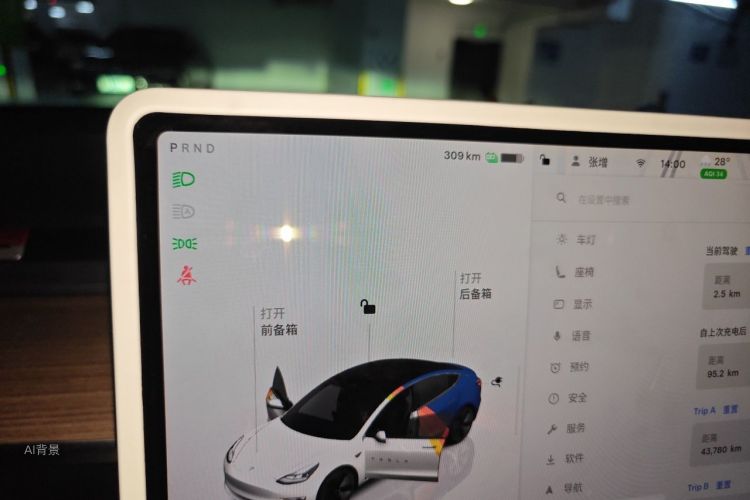 Tesla Model 3 2023 car image #13