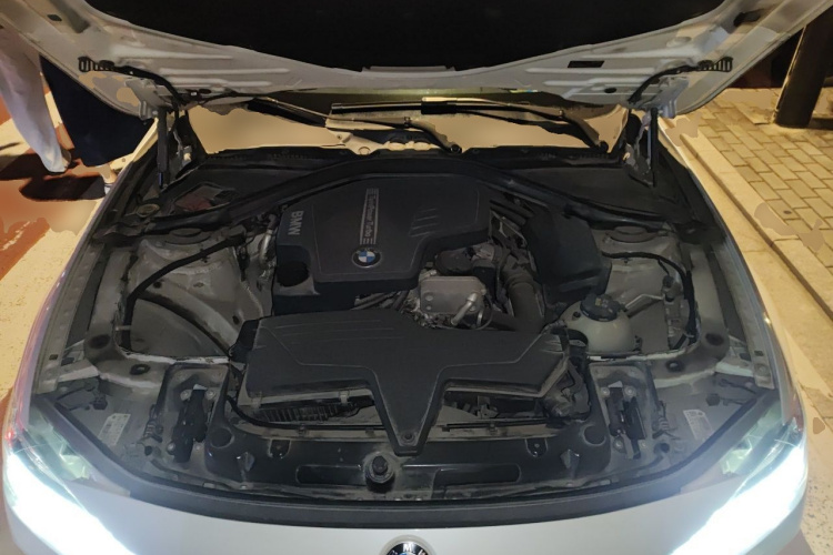 BMW 3 Series 2016 #20 BMW 3 Series 2016 immagine di auto #20