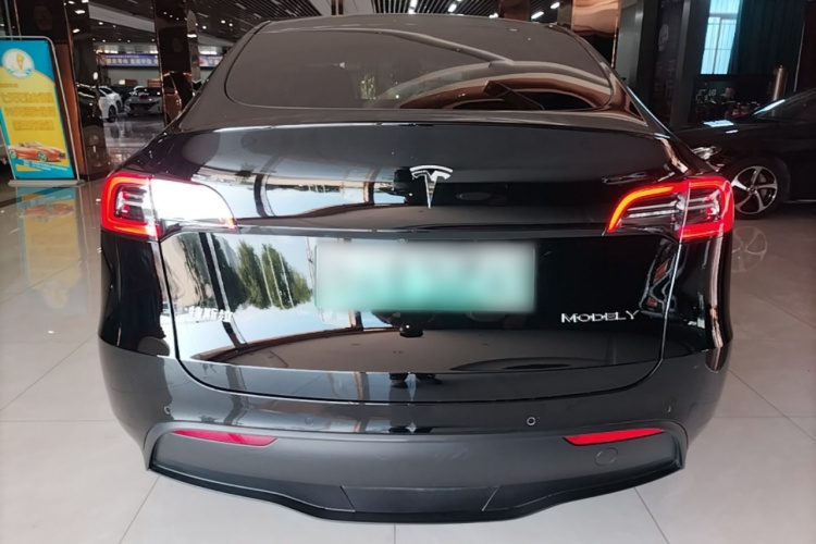 Tesla Model Y 2021 #6 Tesla Model Y 2021 car image #6