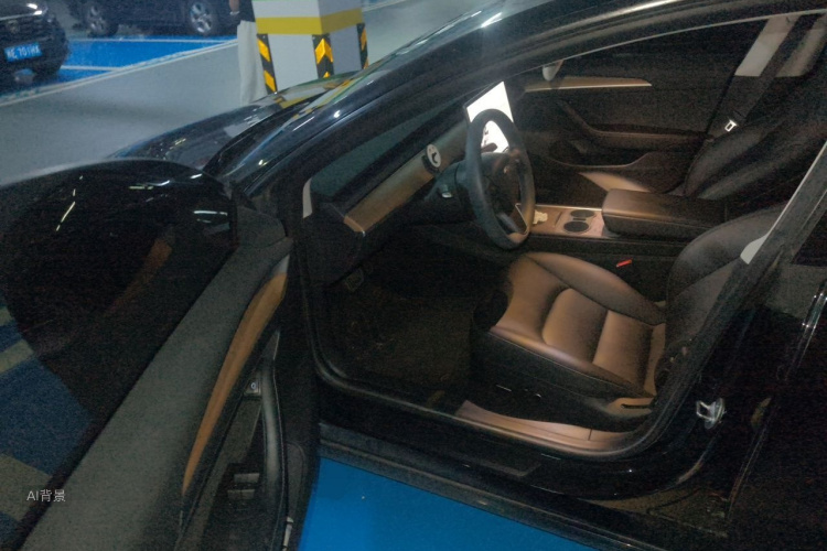 Tesla Model 3 2023 car image #18