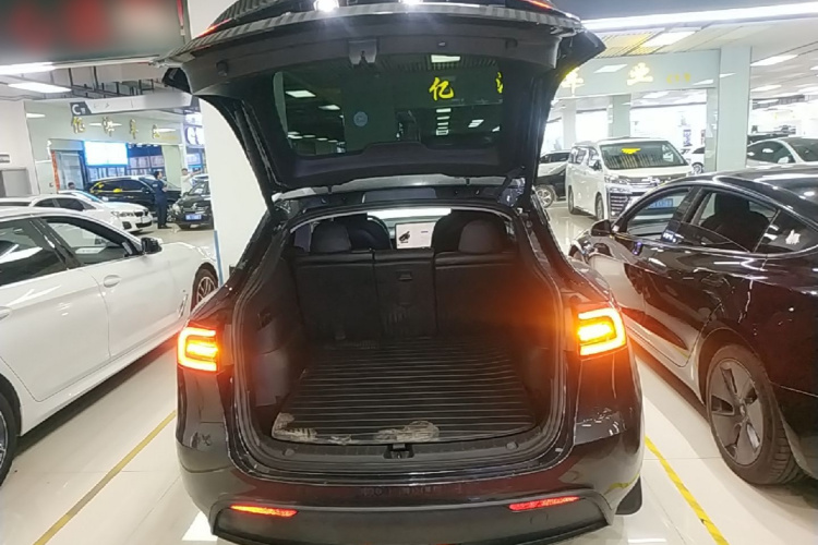 Tesla Model Y 2024 #19 Tesla Model Y 2024 car image #19
