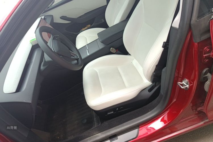 Tesla Model 3 2024 car image #17