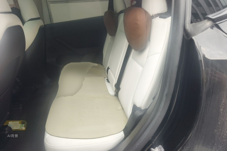 Tesla Model Y 2023 car image #19