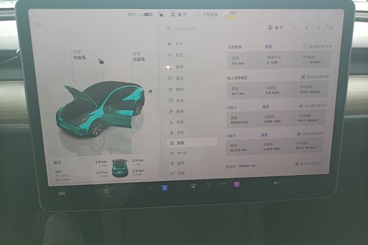 Tesla Model Y 2022 car image #12