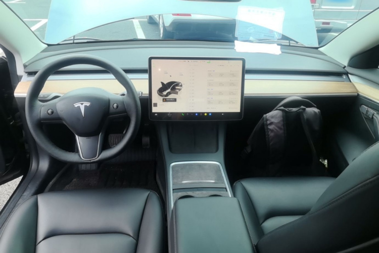 Tesla Model 3 2022 #10 Tesla Model 3 2022 car image #10