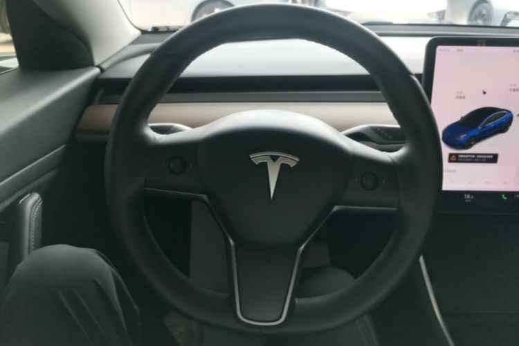 Tesla Model 3 2020 car image #11