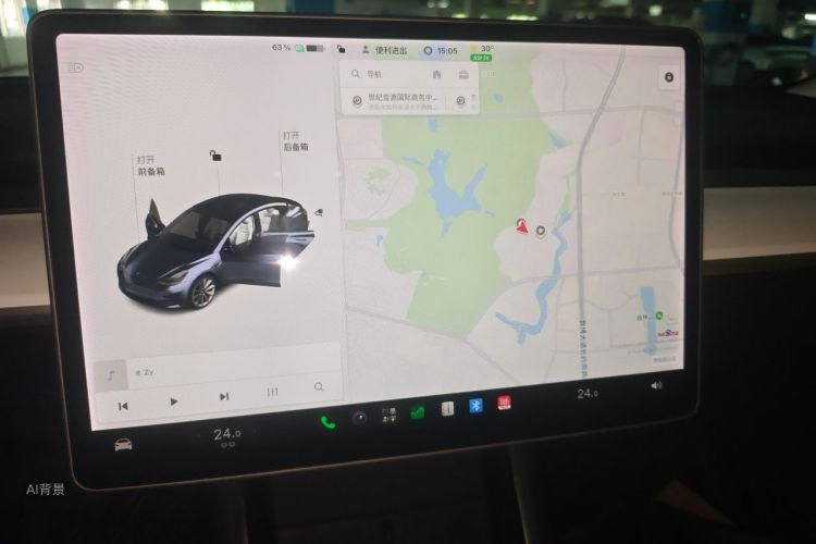Tesla Model 3 2020 immagine di auto #15