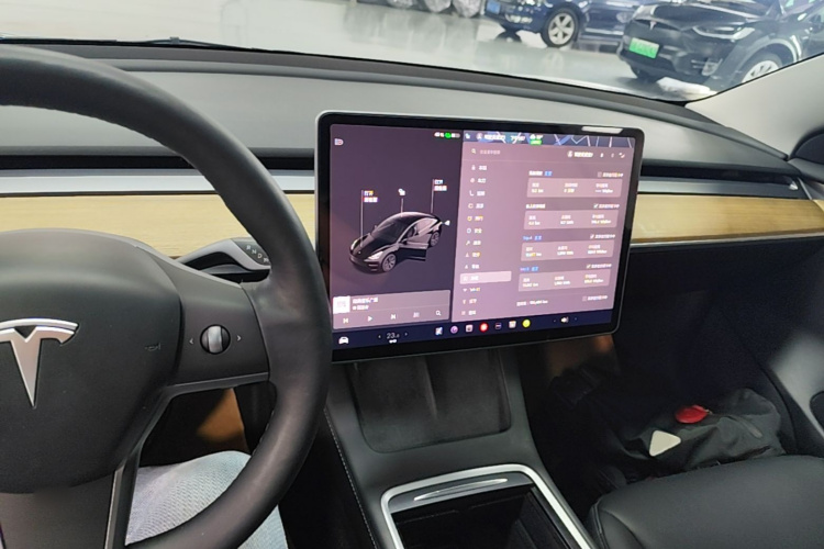 Tesla Model 3 2021 car image #10