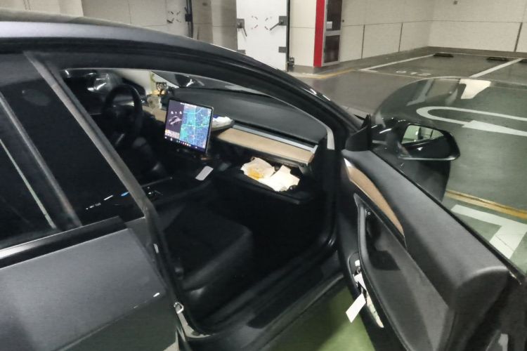 Tesla Model 3 2021 car image #25