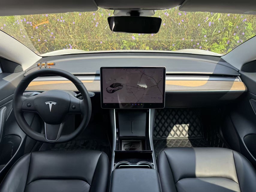 Tesla Model 3 2021 #5 Tesla Model 3 2021 car image #5