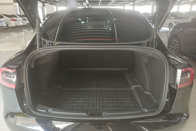 Tesla Model 3 2021 #21 Tesla Model 3 2021 car image #21