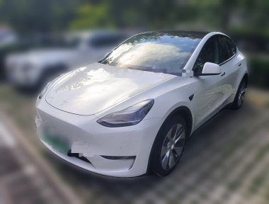 Tesla Model Y 2021 Tesla Model Y 2021 car image