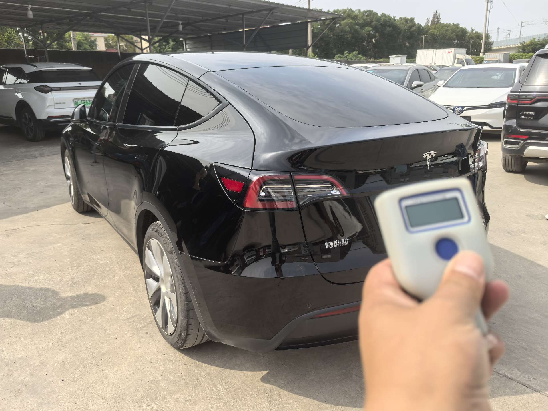 Tesla Model Y 2023 #7 Tesla Model Y 2023 صورة سيارة #7