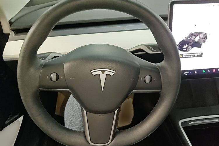 Tesla Model 3 2021 #11 Tesla Model 3 2021 car image #11