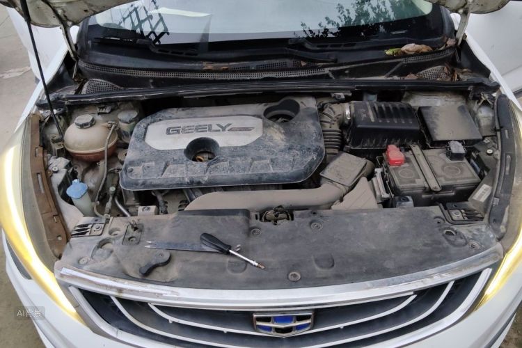 GEELY Emgrand GS 2016 imagem de carro #22