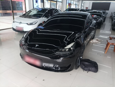 Tesla Model 3 2021 Tesla Model 3 2021 car image