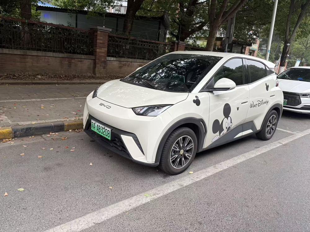 BYD Seagull 2024 car image 
