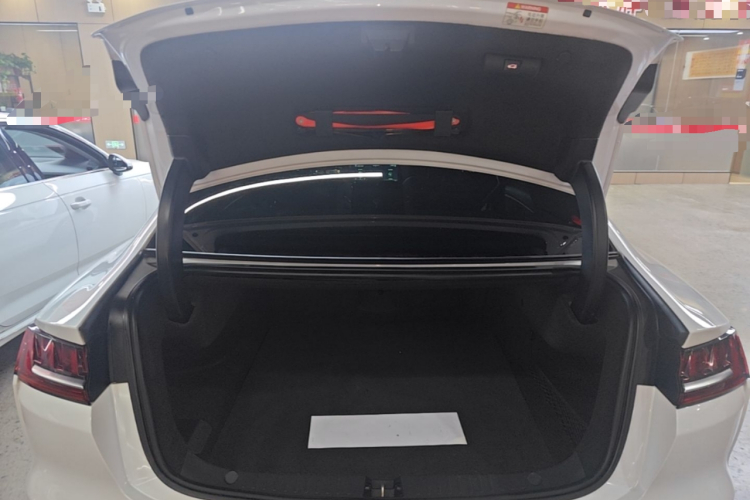 BYD Han 2021 #19 BYD Han 2021 immagine di auto #19