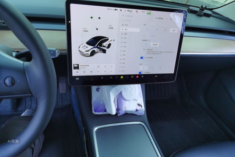 Tesla Model 3 2021 #15 Tesla Model 3 2021 car image #15