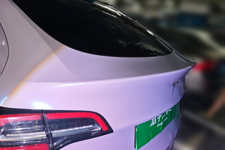 Tesla Model Y 2021 #21 Tesla Model Y 2021 car image #21