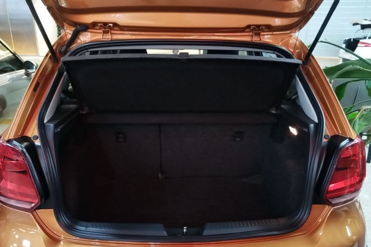 Volkswagen Polo 2015 car image #19