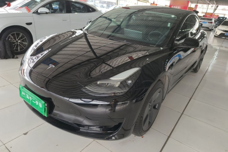Tesla Model 3 2021 car image #2
