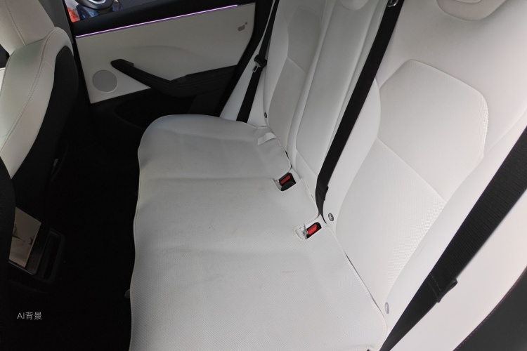 Tesla Model 3 2024 car image #19