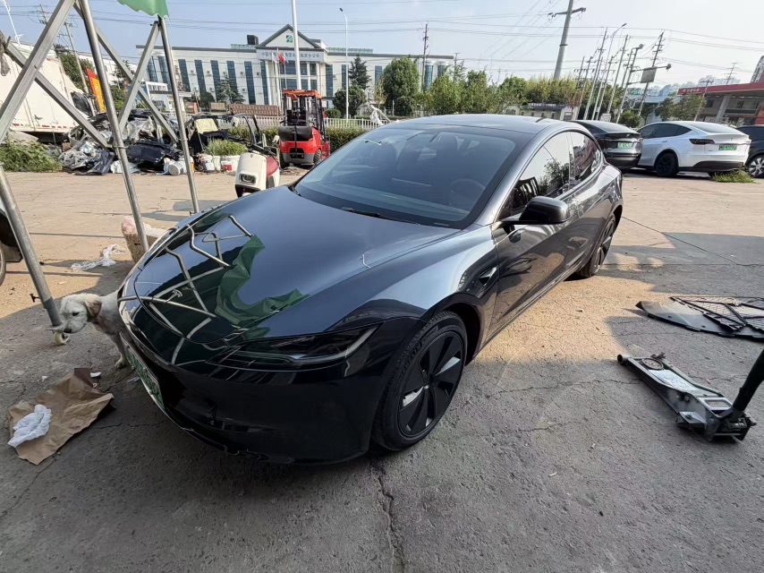 Tesla Model 3 2024 Tesla Model 3 2024 immagine di auto