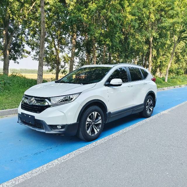Honda CR-V 2019 Honda CR-V 2019 car image