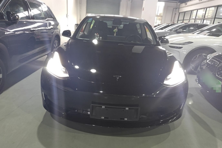 Tesla Model 3 2020 #3 Tesla Model 3 2020 car image #3