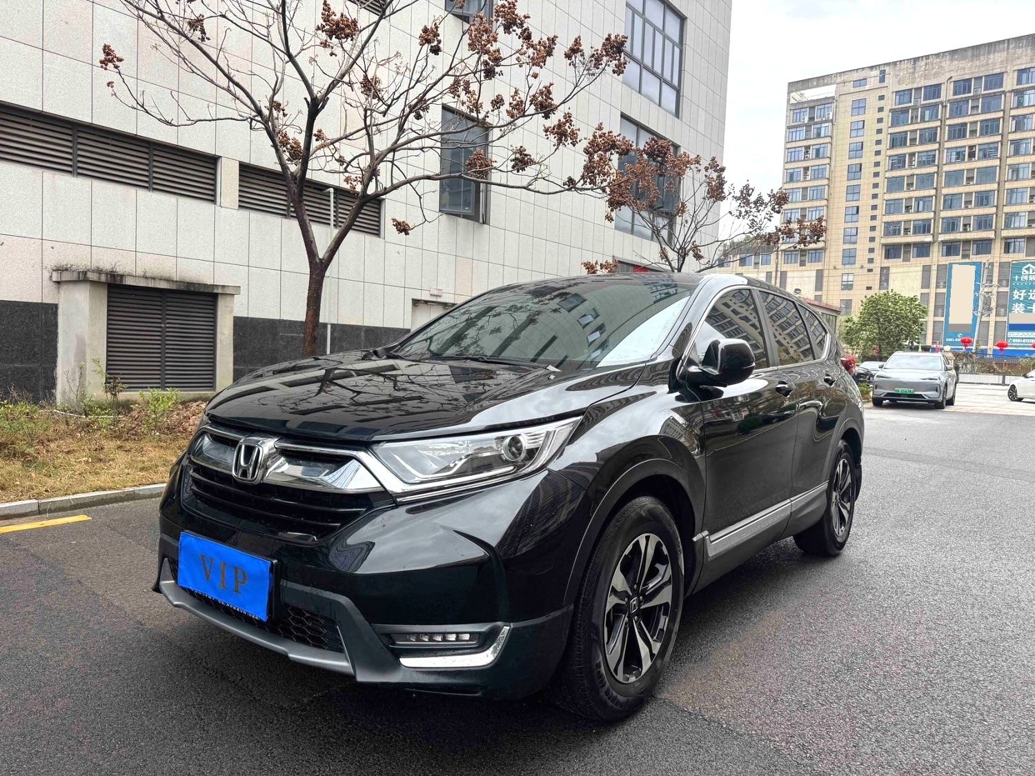Honda CR-V 2020 Honda CR-V 2020 car image