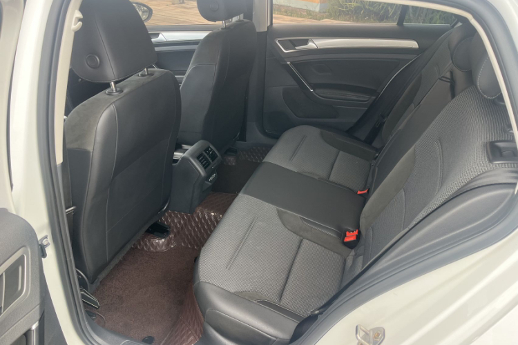 Volkswagen Golf 2019 car image #10