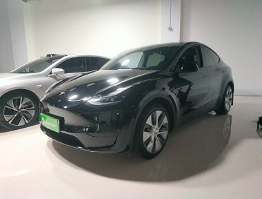 Tesla Model Y 2022 car image 