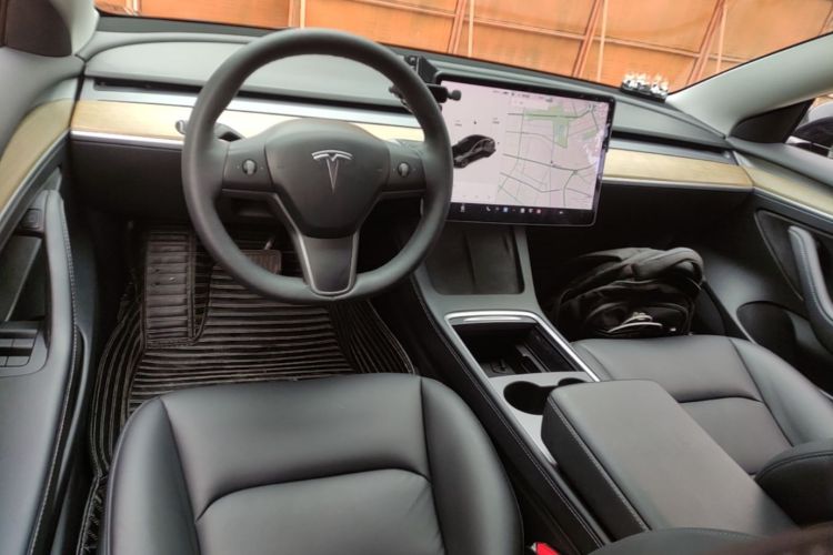 Tesla Model 3 2021 imagem de carro #11