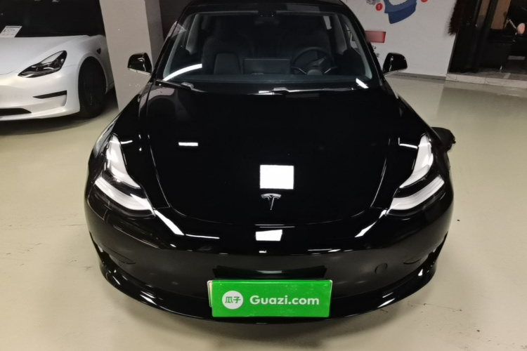 Tesla Model 3 2020 #3 Tesla Model 3 2020 car image #3