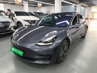Tesla Model 3 2020 Tesla Model 3 2020 immagine di auto
