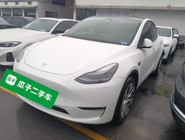 Tesla Model Y 2023 car image 