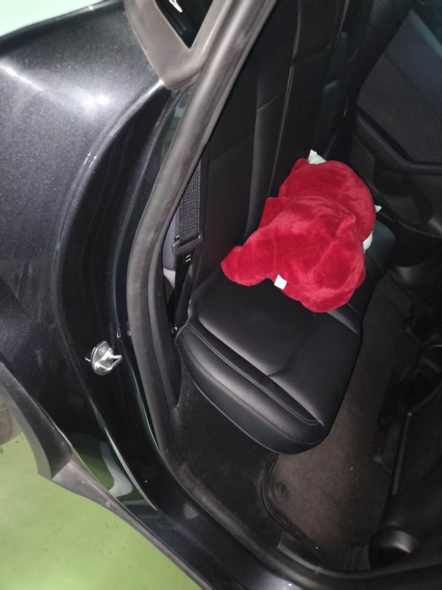 Tesla Model Y 2024 car image #7