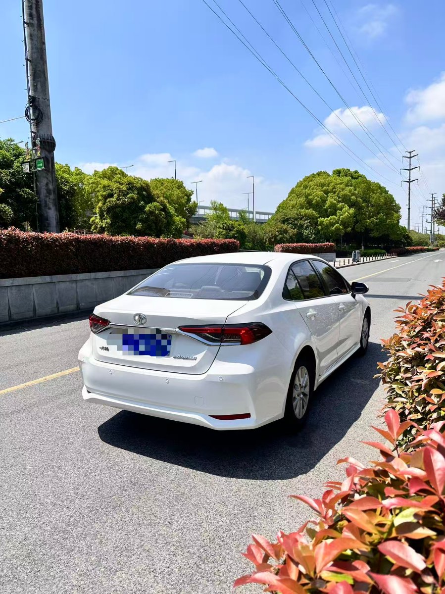 Toyota Corolla 2023 car image #6