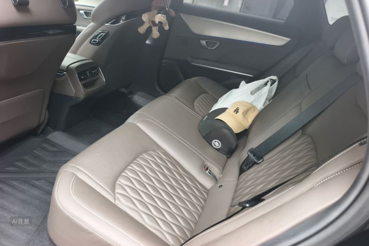 BYD Han 2023 car image #19