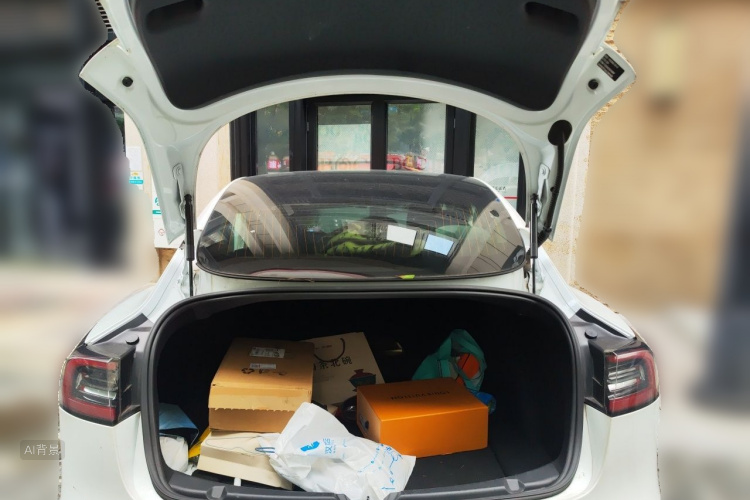 Tesla Model 3 2020 car image #21