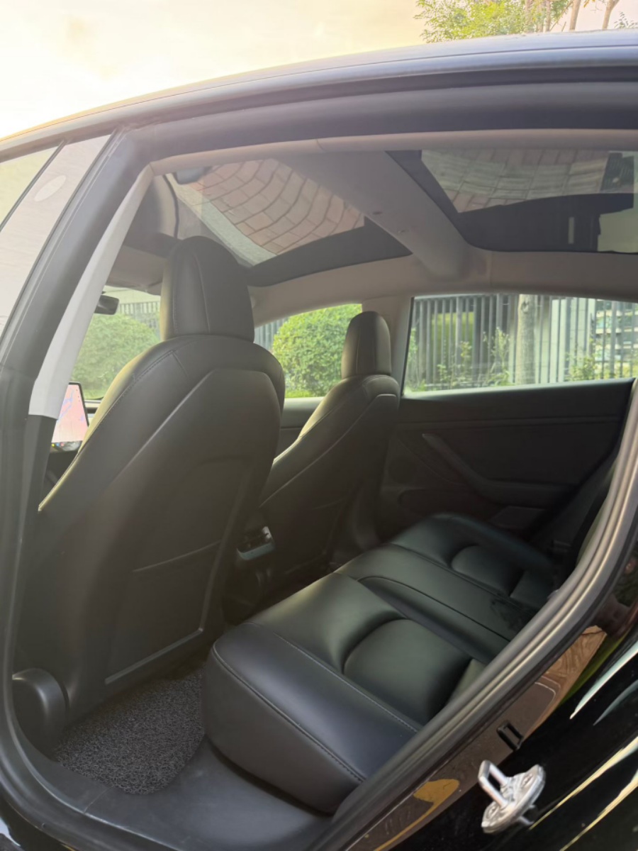 Tesla Model 3 2021 car image #5