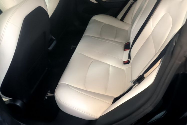 Tesla Model 3 2020 #17 Tesla Model 3 2020 car image #17