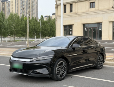 BYD Han 2023 汽车图片 