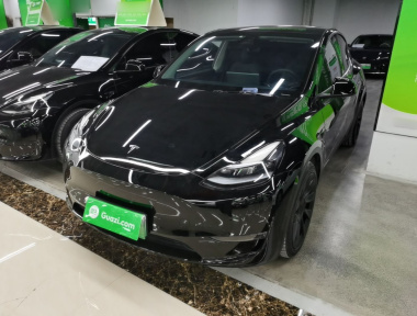 Tesla Model Y 2021 Tesla Model Y 2021 car image