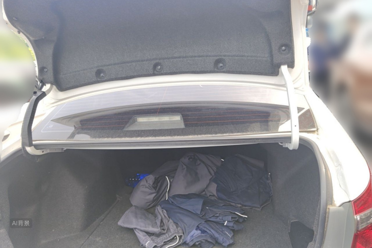 Toyota Corolla 2019 car image #21