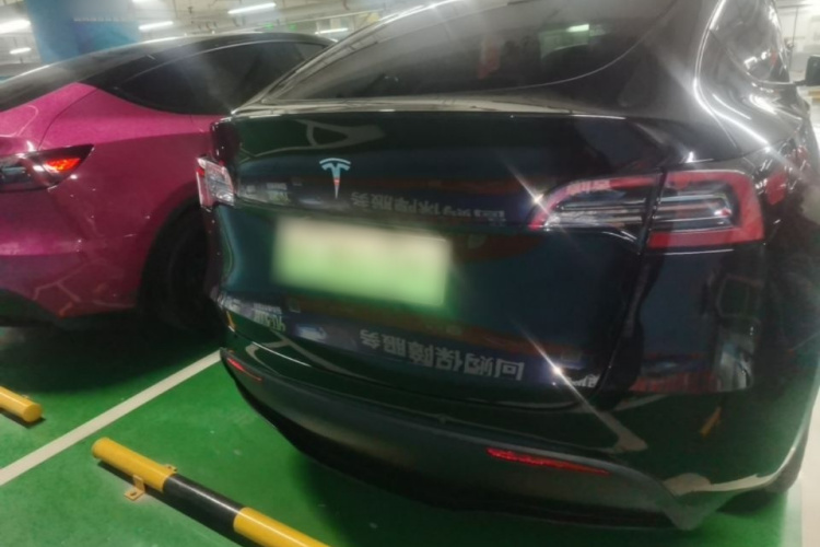 Tesla Model Y 2023 #6 Tesla Model Y 2023 immagine di auto #6