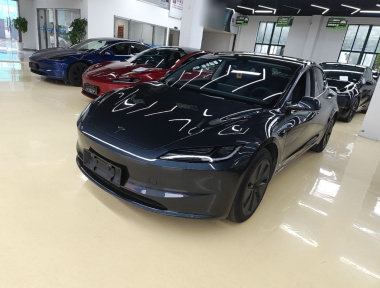 Tesla Model 3 2024 Tesla Model 3 2024 car image